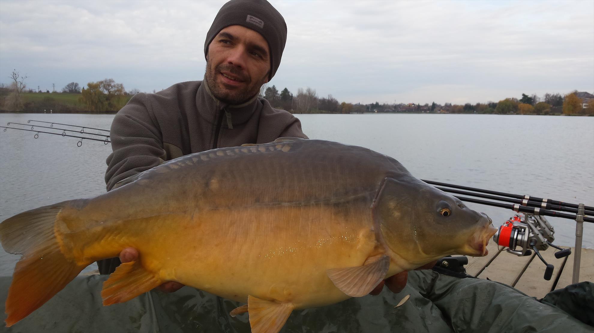 Hermes Peris 22 noiembrie 2015 - 20151122104005.jpg